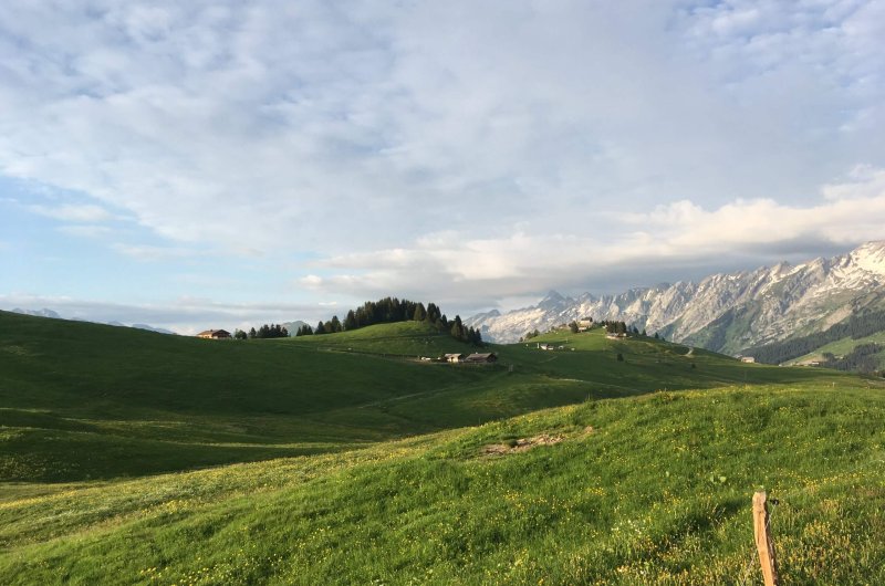 Le plateau de Beauregard dans les lumières du soir.
