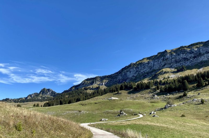 Chemin du plateau des Glières.